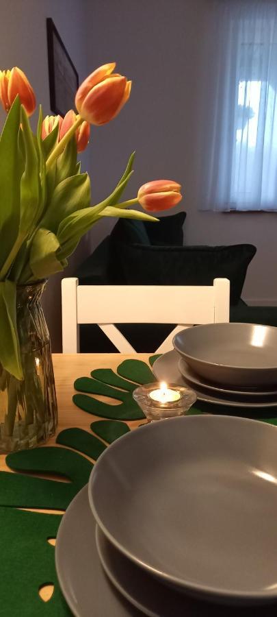 Apartment Siedlisko Czapla Kolo Suntago *