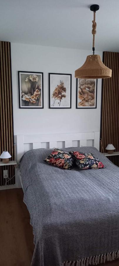 Apartment Siedlisko Czapla Kolo Suntago
